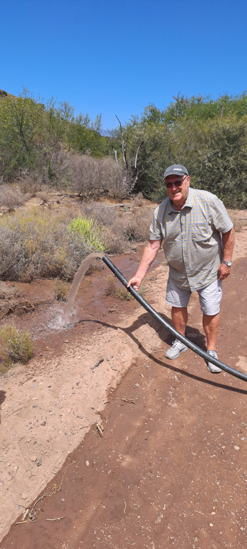 Borehole pump